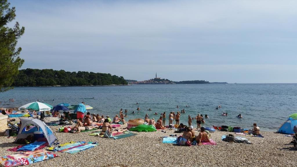 In With Terrace, Air Condition, Wifi, Washing Machine Apartment Rovinj